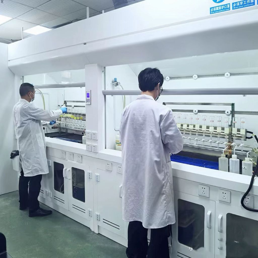 Lab Image 5